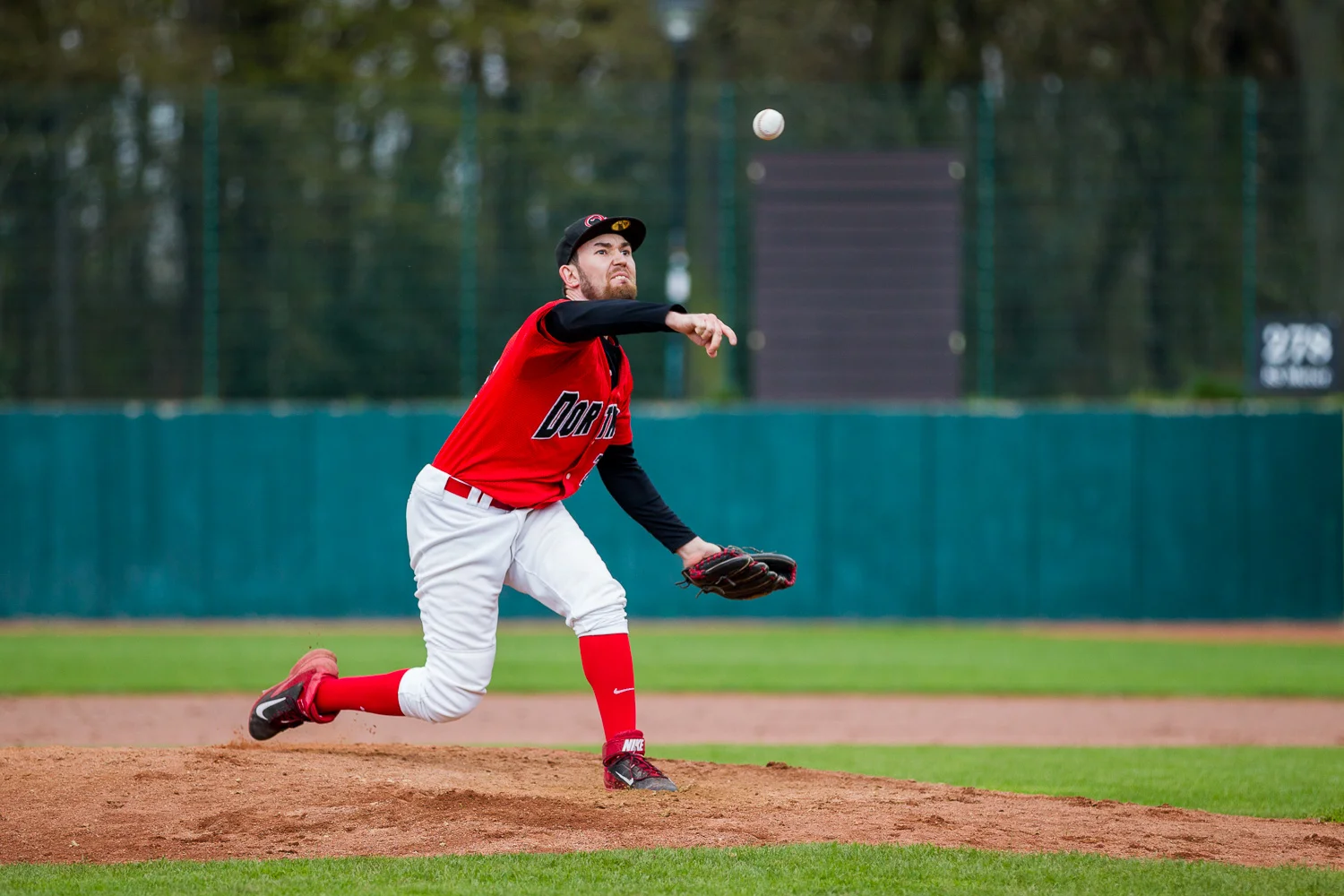 Baseball - Bundesliga - Dortmund Wanderers - Solingen Aligators