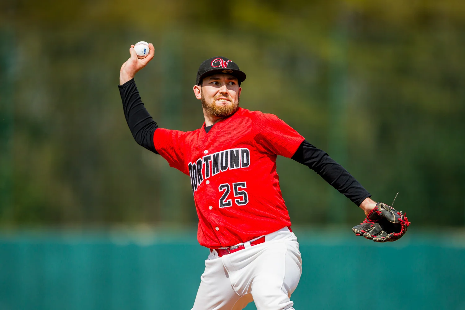 Baseball - Bundesliga - Dortmund Wanderers - Solingen Aligators