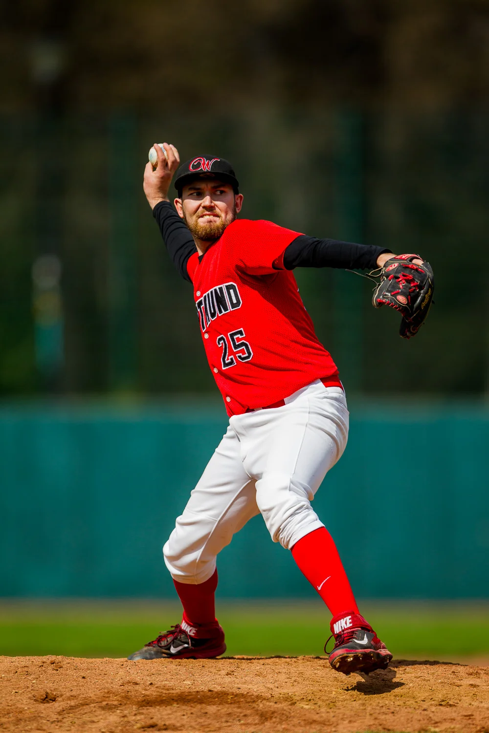 Baseball - Bundesliga - Dortmund Wanderers - Solingen Aligators