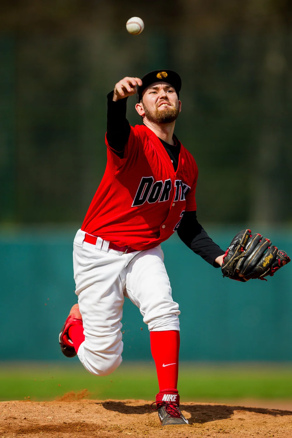 Baseball - Bundesliga - Dortmund Wanderers - Solingen Aligators