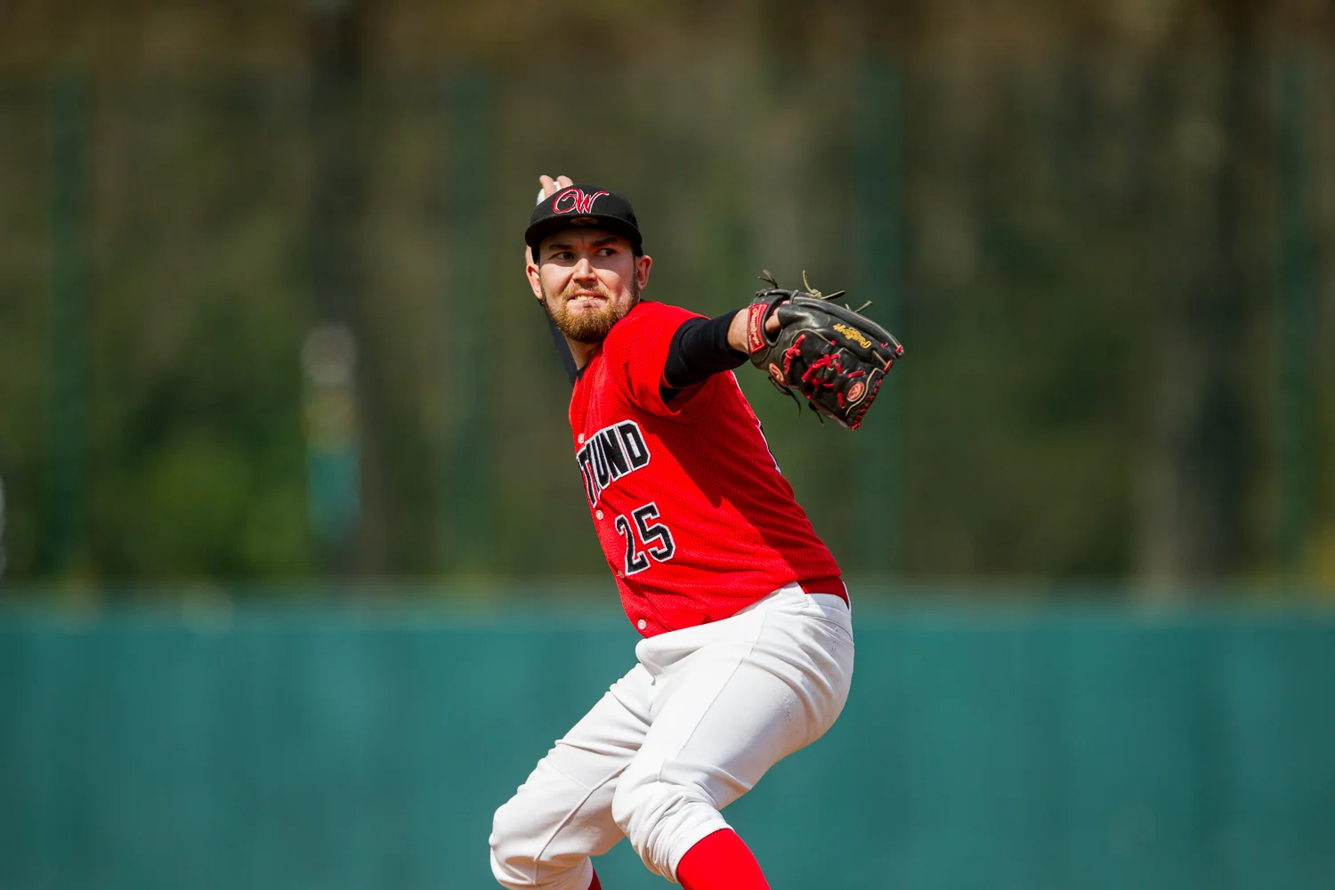 Baseball - Bundesliga - Dortmund Wanderers - Solingen Aligators