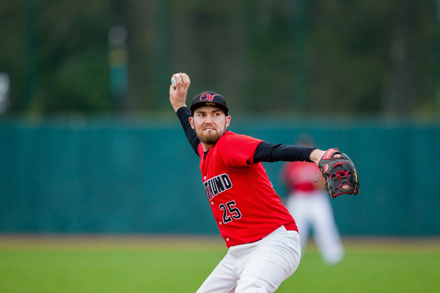 Baseball - Bundesliga - Dortmund Wanderers - Solingen Aligators
