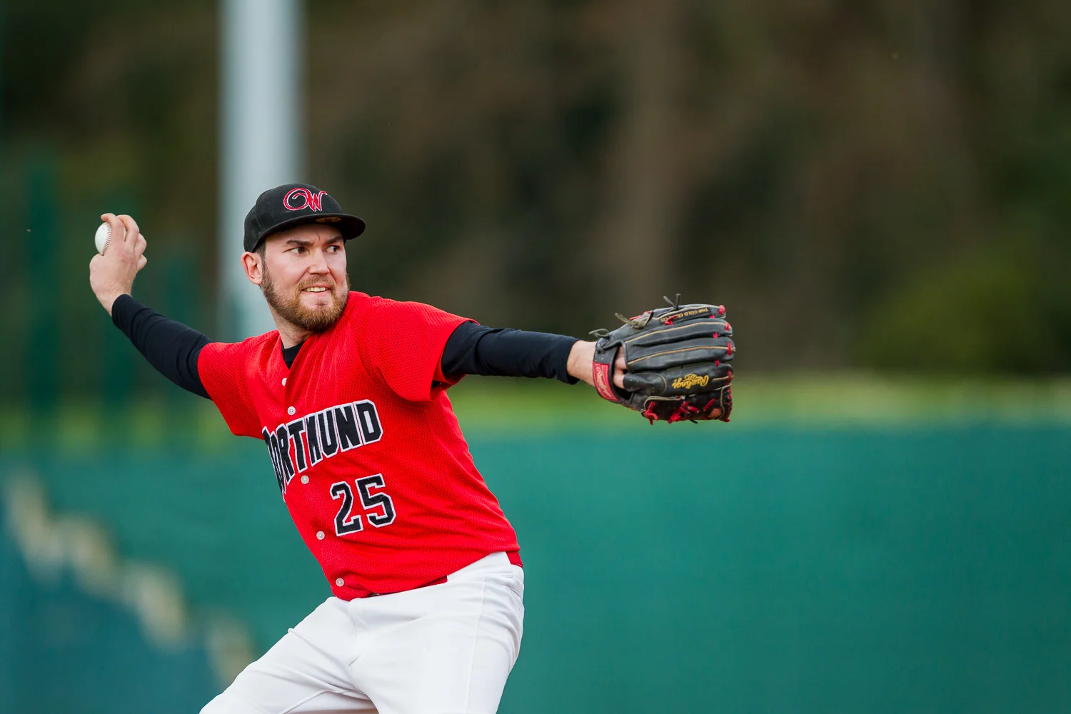 Baseball - Bundesliga - Dortmund Wanderers - Solingen Aligators