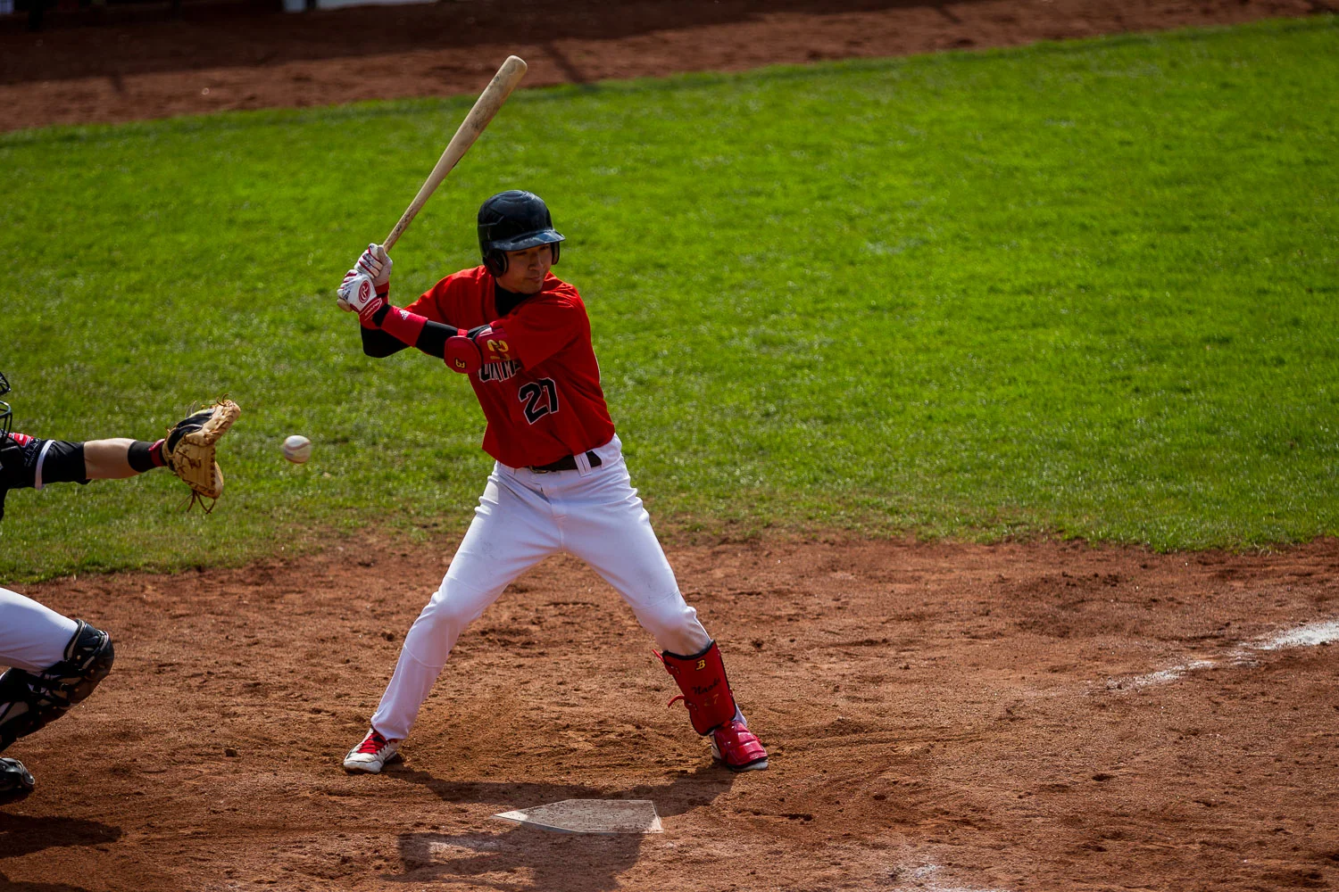 Baseball - Bundesliga - Dortmund Wanderers - Solingen Aligators