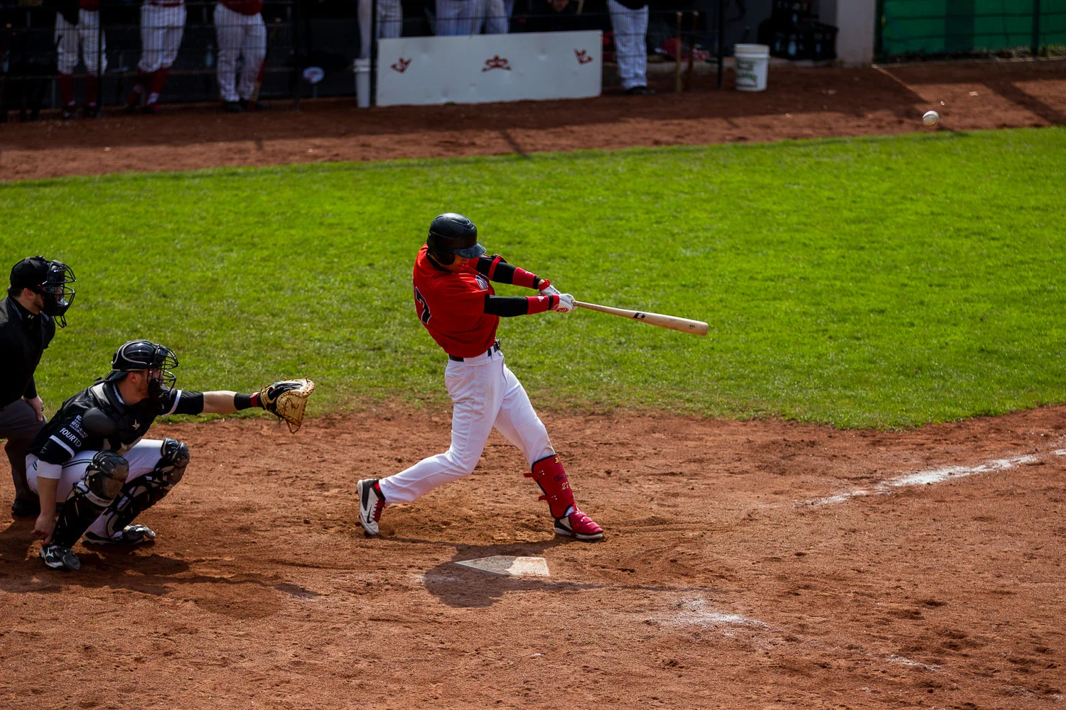 Baseball - Bundesliga - Dortmund Wanderers - Solingen Aligators