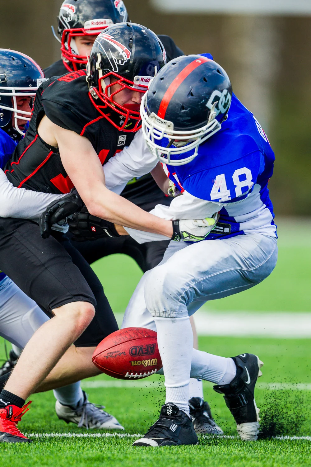 Football - GFLJ - Dortmund Giants U19 - Düsseldorf Panther U19