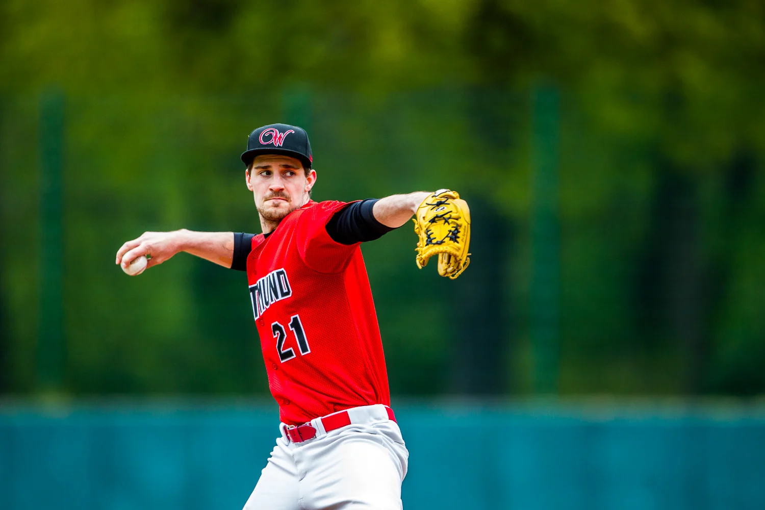 Baseball - Bundesliga - Dortmund Wanderers - Untouchables Paderb