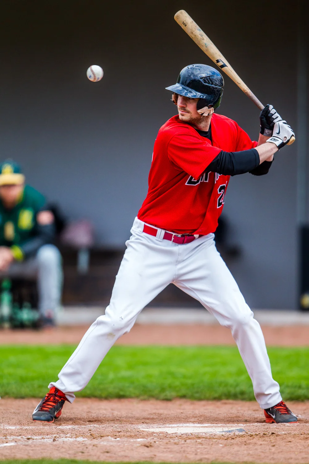 Baseball - Bundesliga - Dortmund Wanderers - Untouchables Paderb