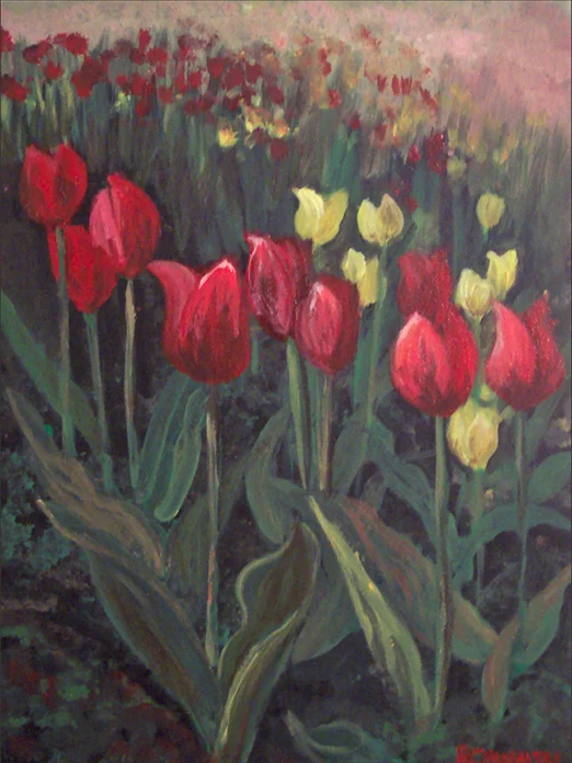 Tulips