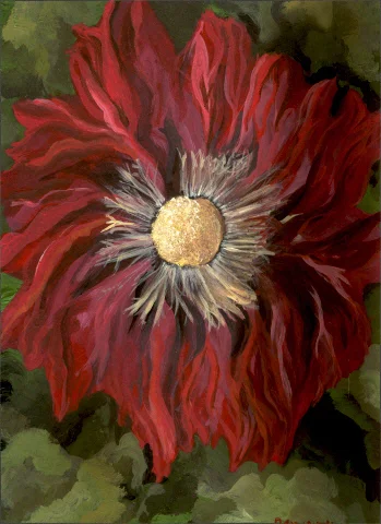 Poppy