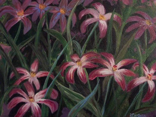 Lilies