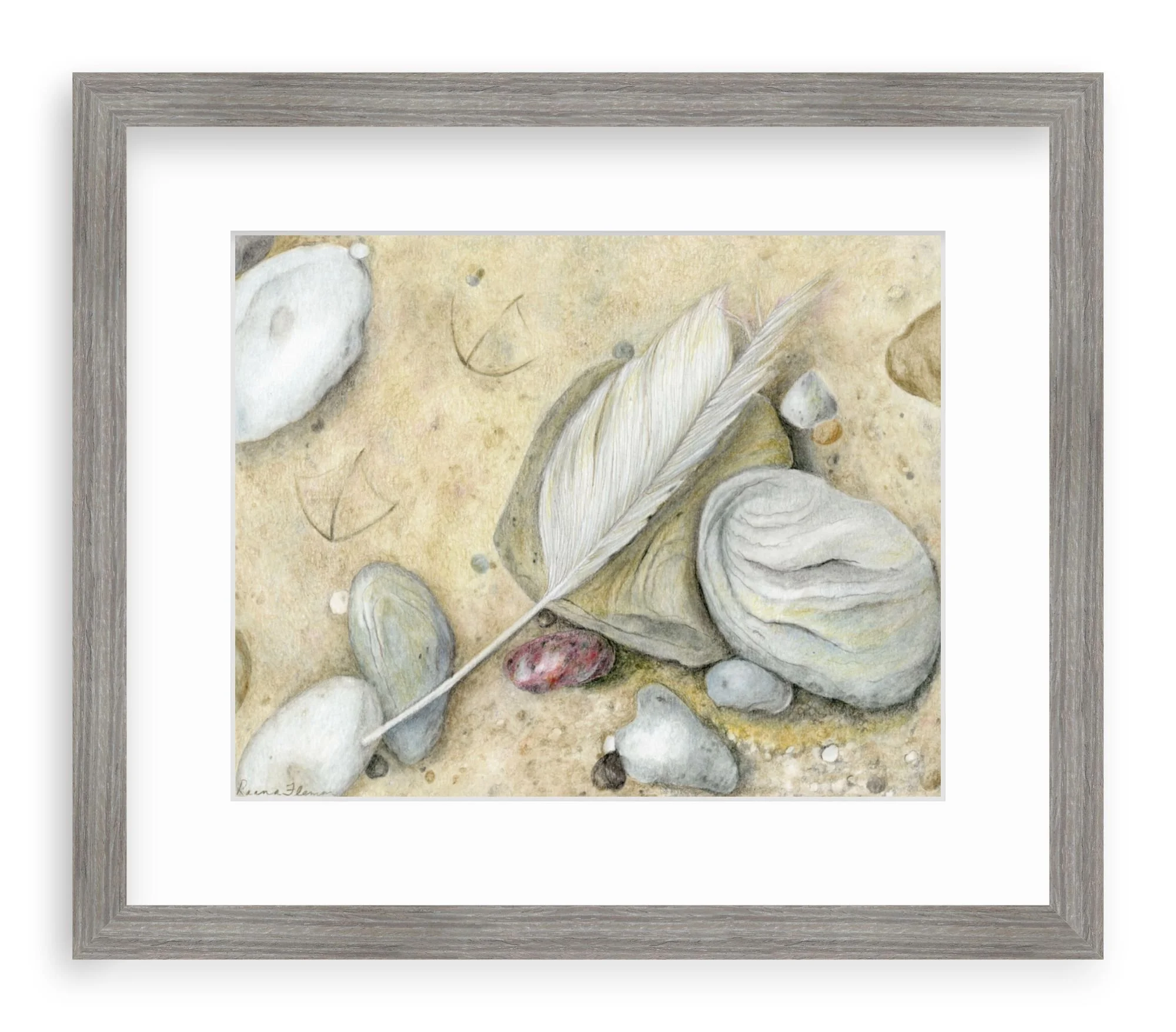 Seagull feather.framed.jpg