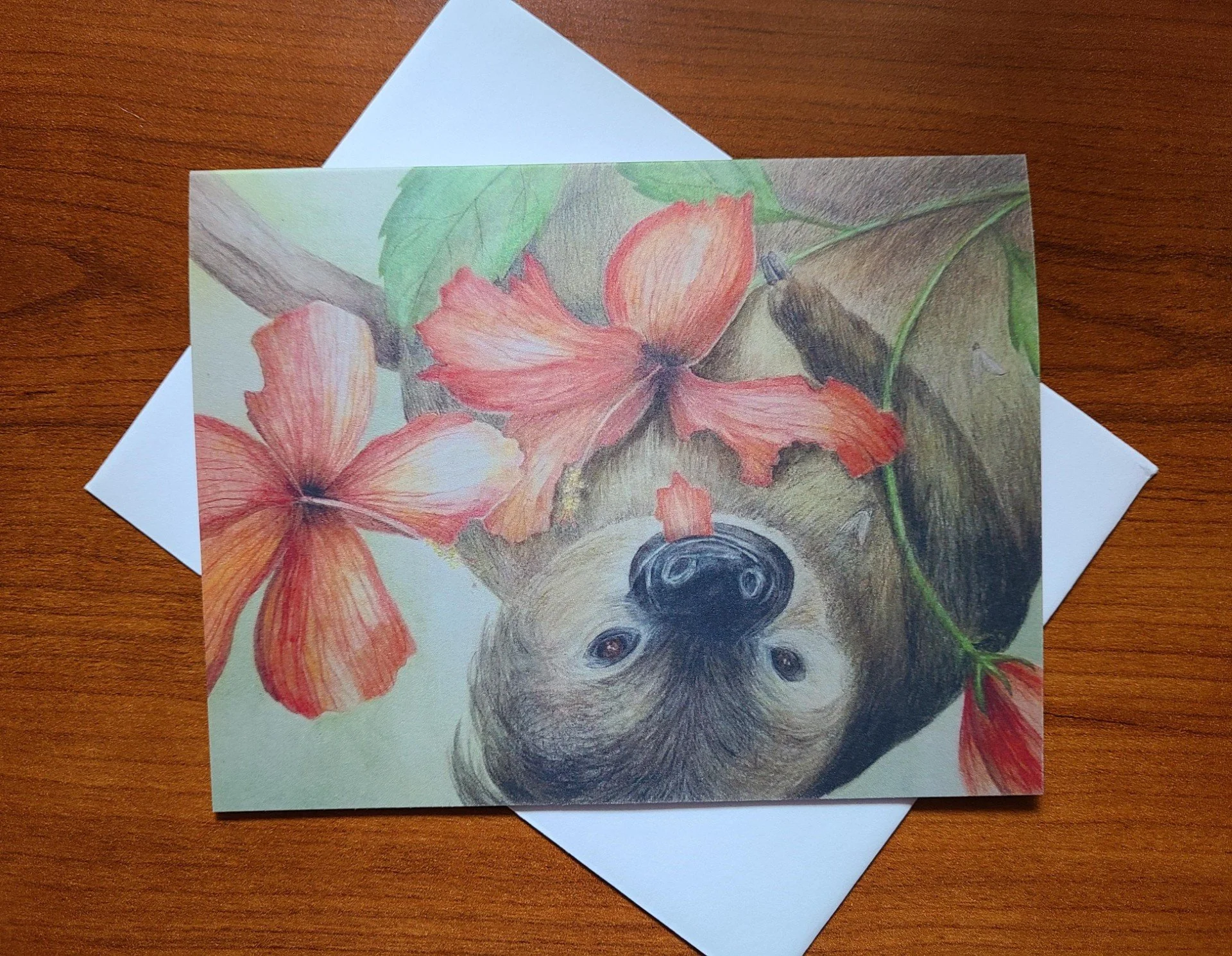 Sloth card.jpg