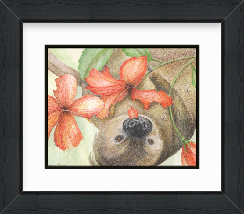 Sloth framed.jpg
