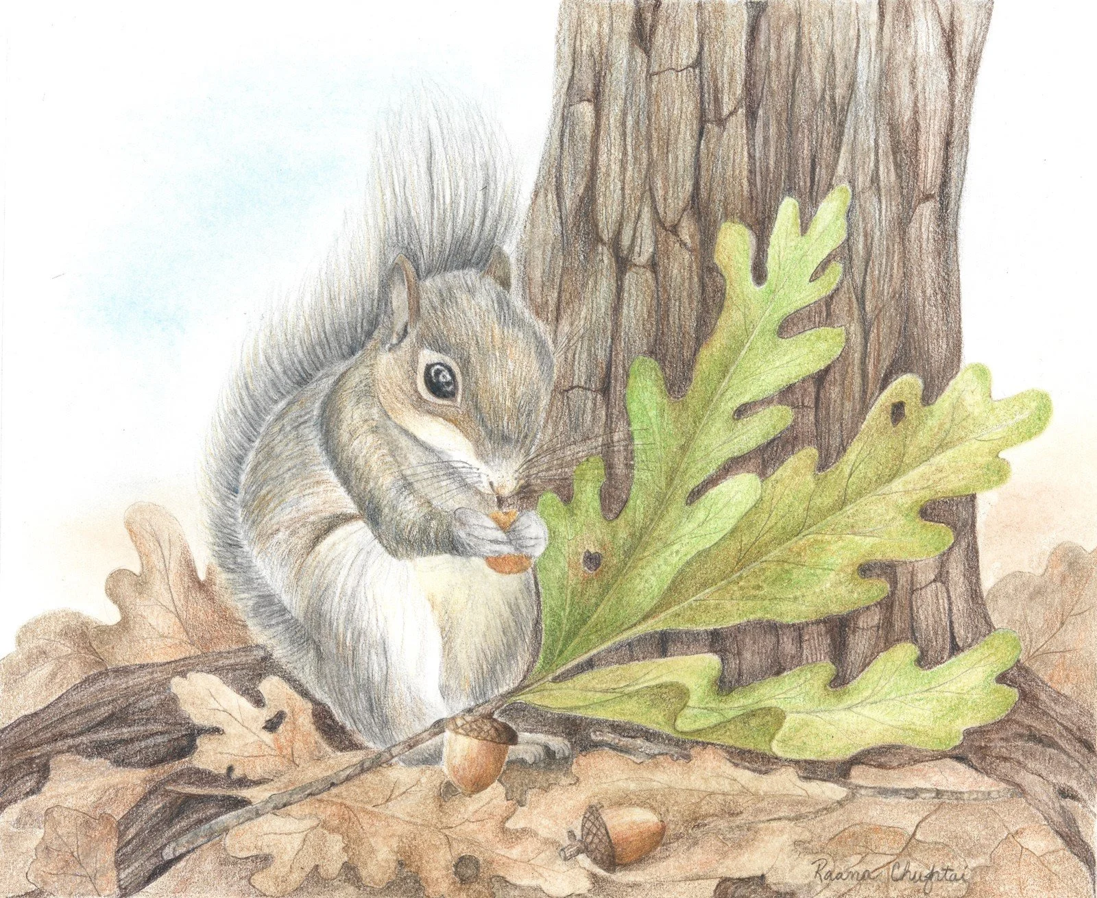 Lunch in the Woods (2).jpg