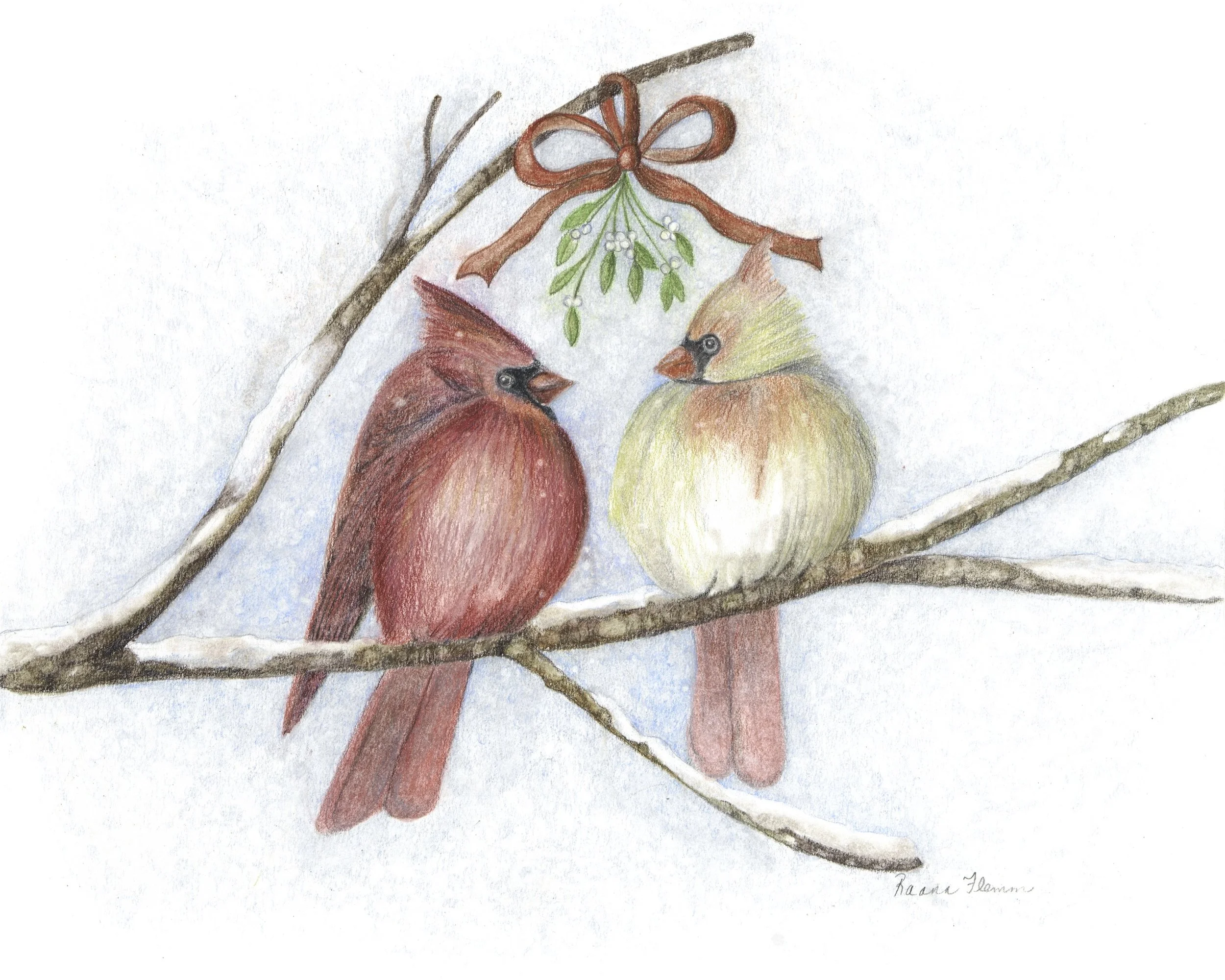 Resized cardinals.jpg