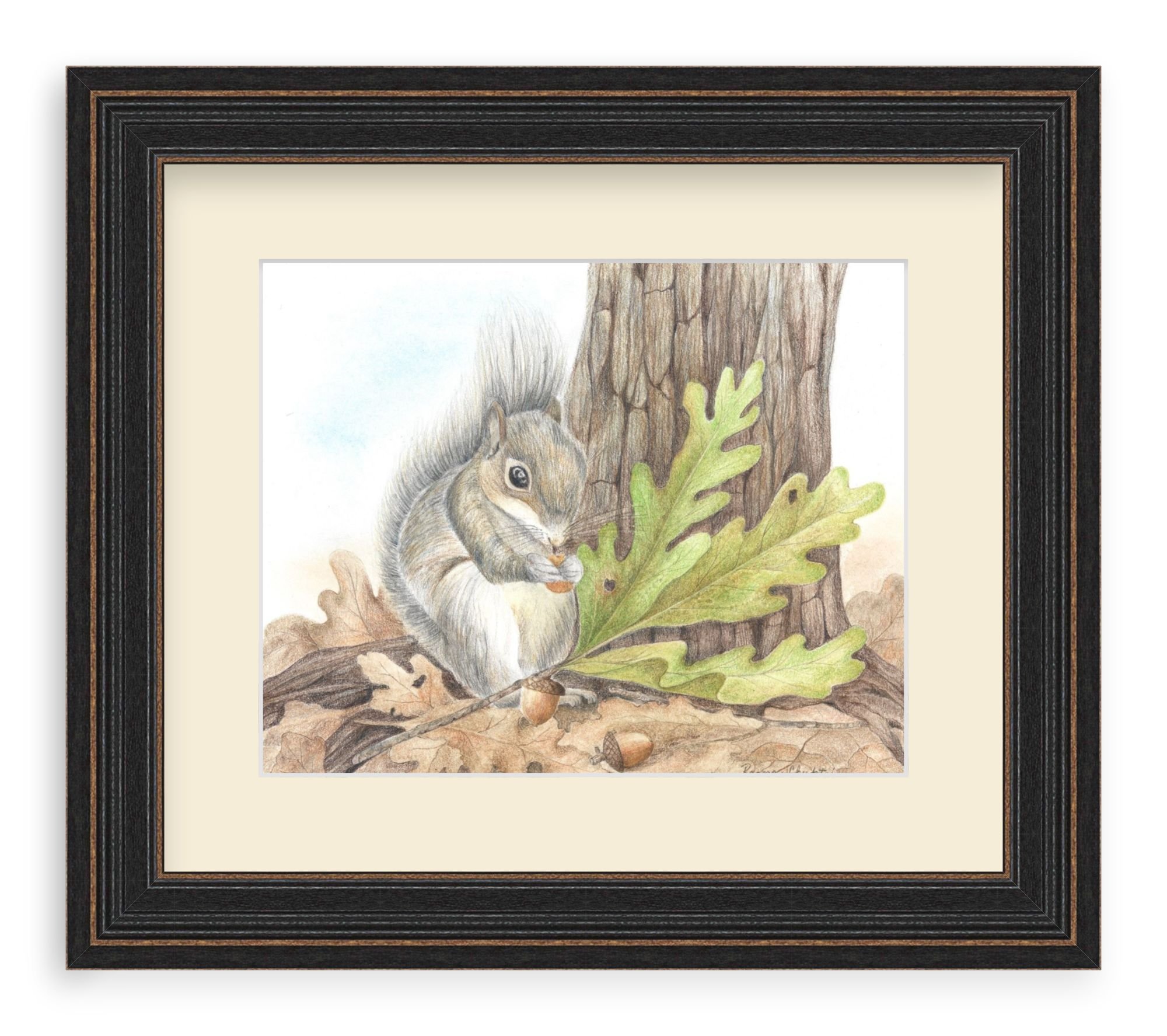 Squirrel in frame 2.jpg