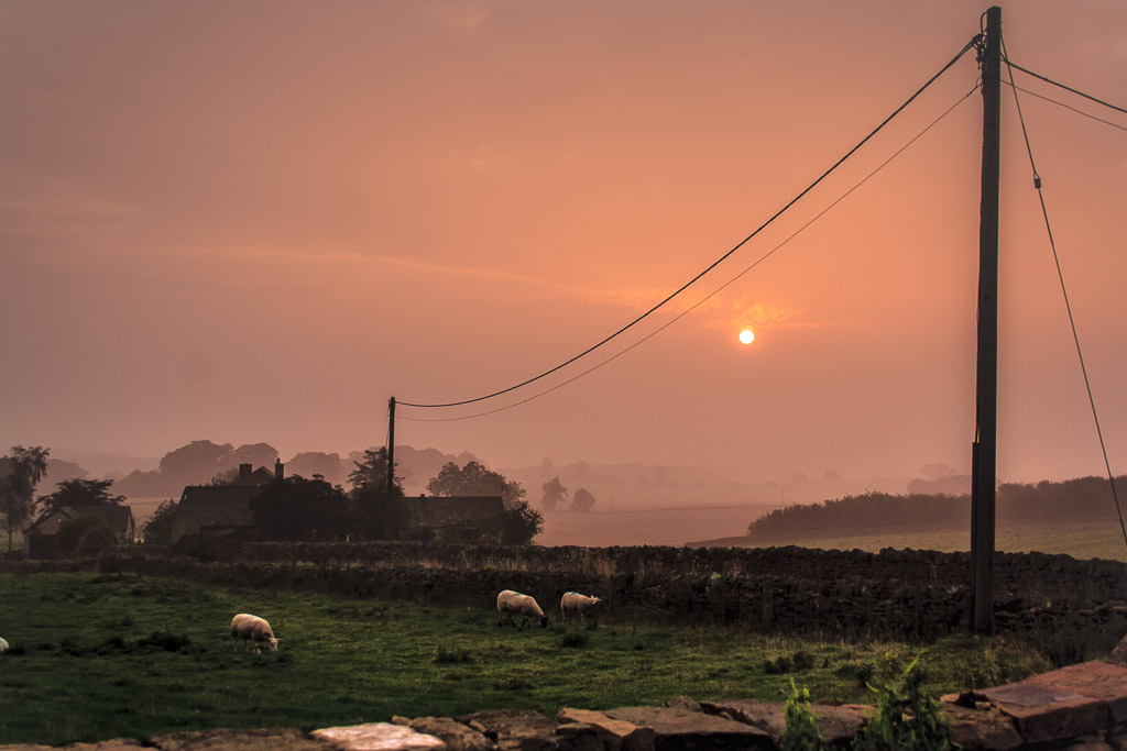 Sunrise at Harnham 1-Alex Ewing.jpg