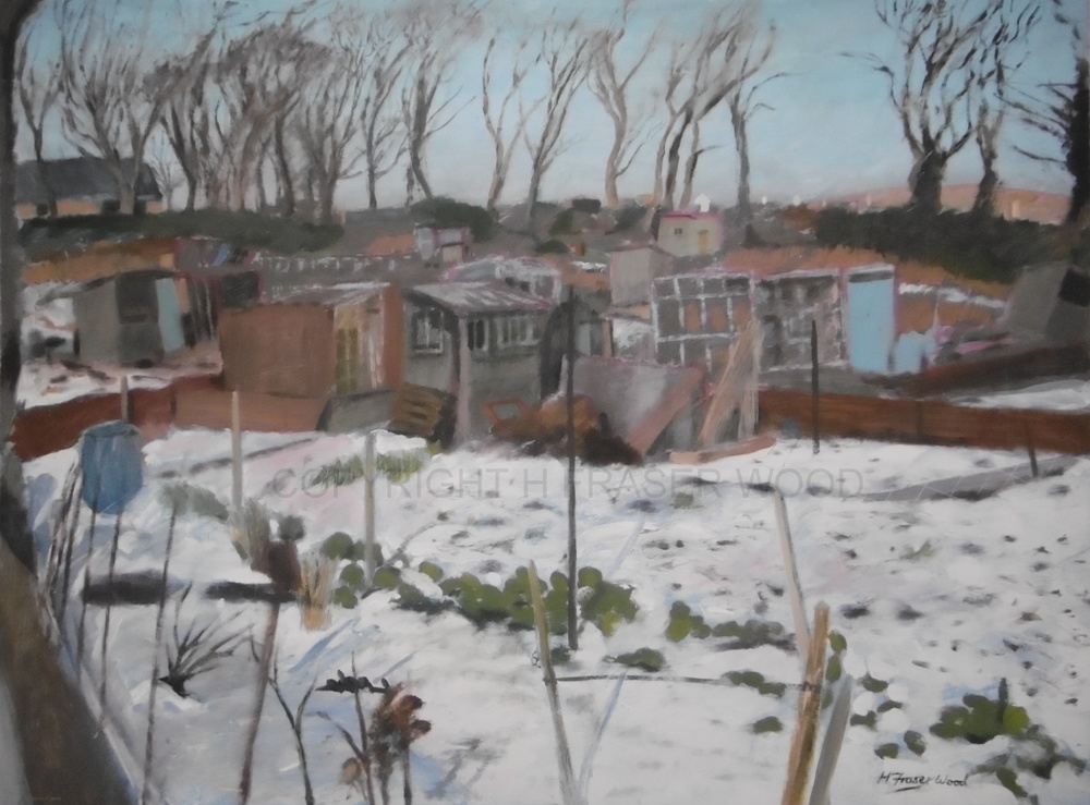 ALLOTMENTS+UNDER+SNOW.jpg
