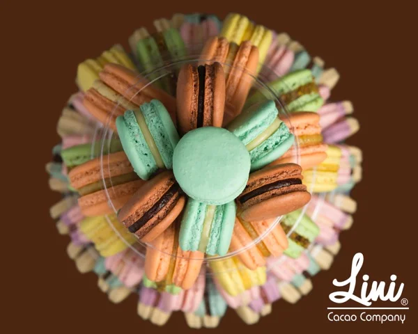 LiniCacaoCo140410.jpeg