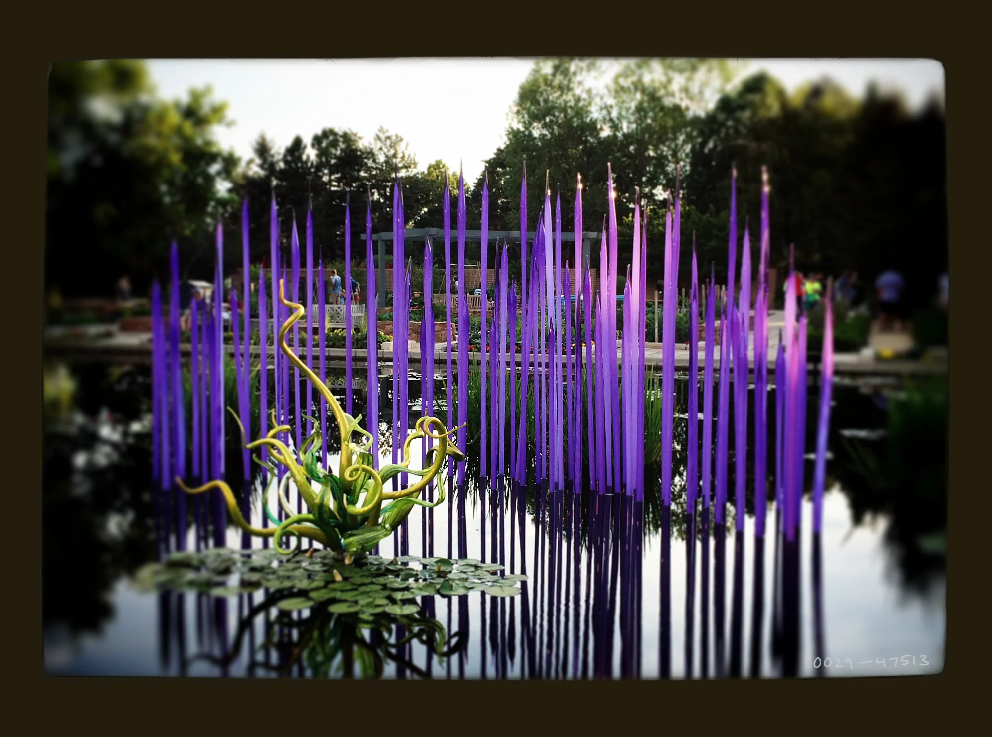 Dale Chihuly, "Neodymium Reeds" at the Denver Botanic Gardens through Nov. 30, 2014.