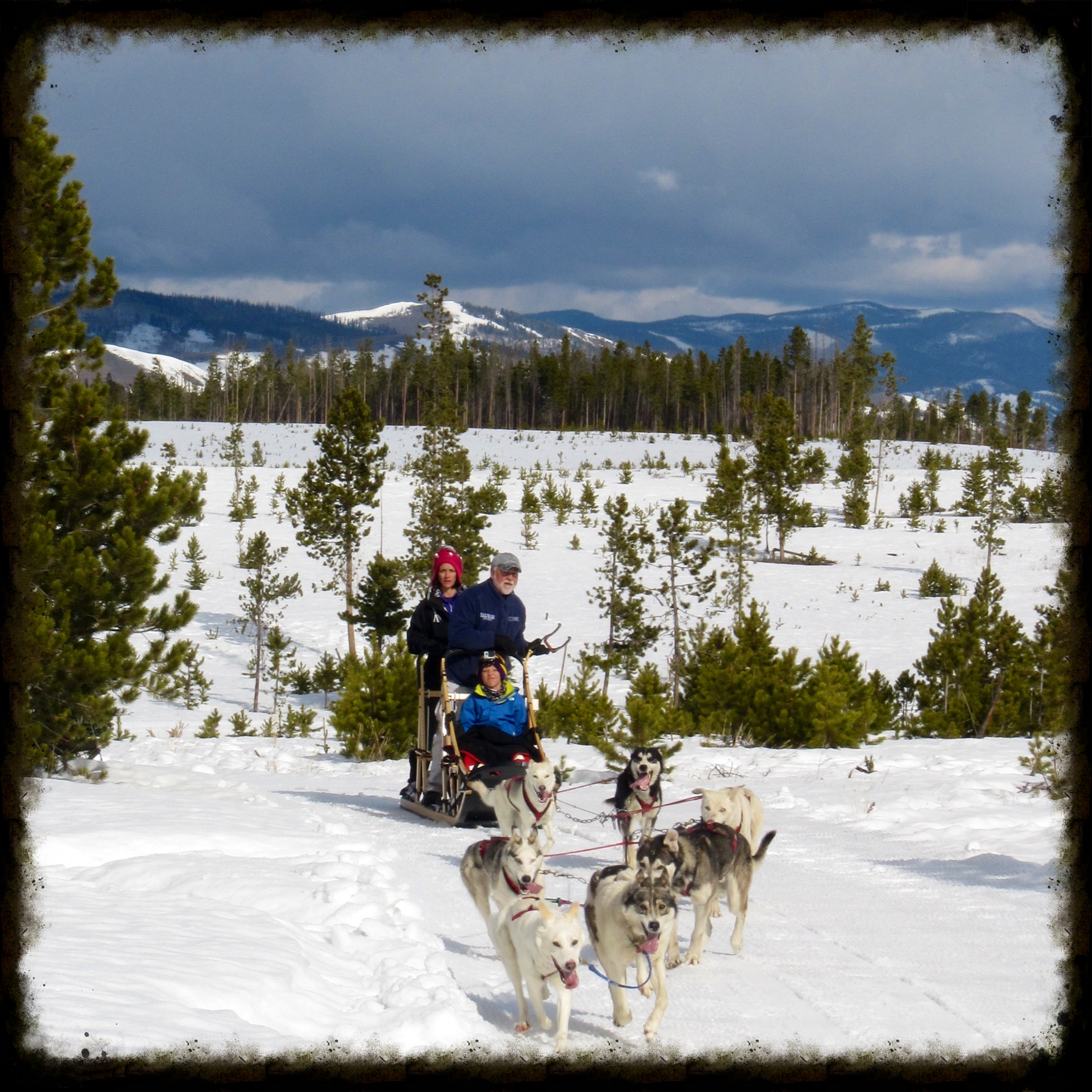 Snow Mountain Ranch chaplain and dog musher Steven Peterson rounds the bend with his team of canine athletes. Photos by Heather Mundt