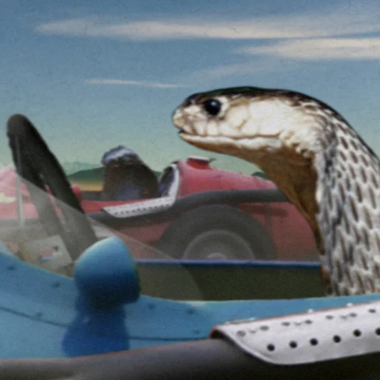 SpeedPsychos_Thumb.jpg