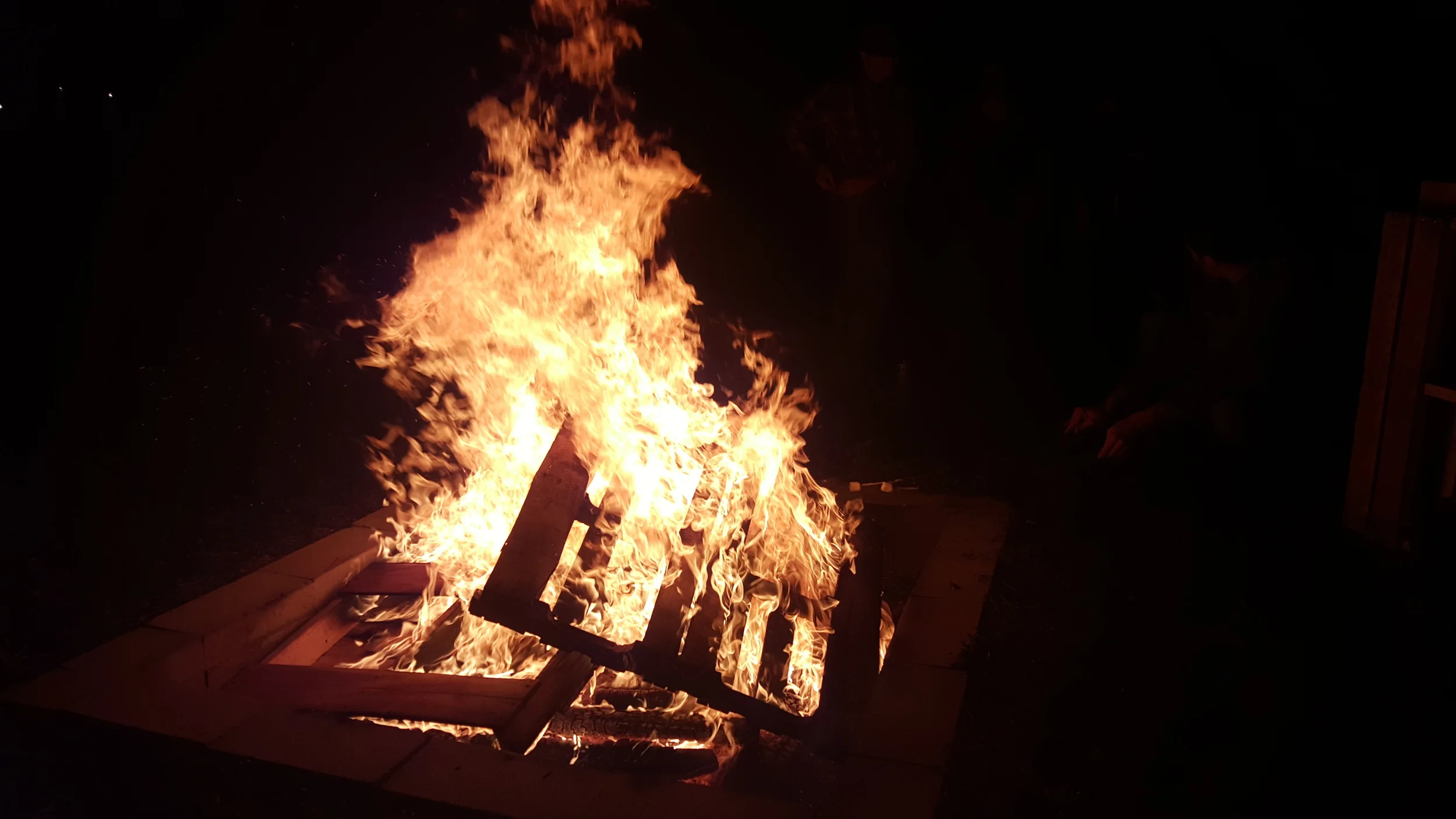 Saturday, October 24th - Let it burn! Fall Lab bonfire.