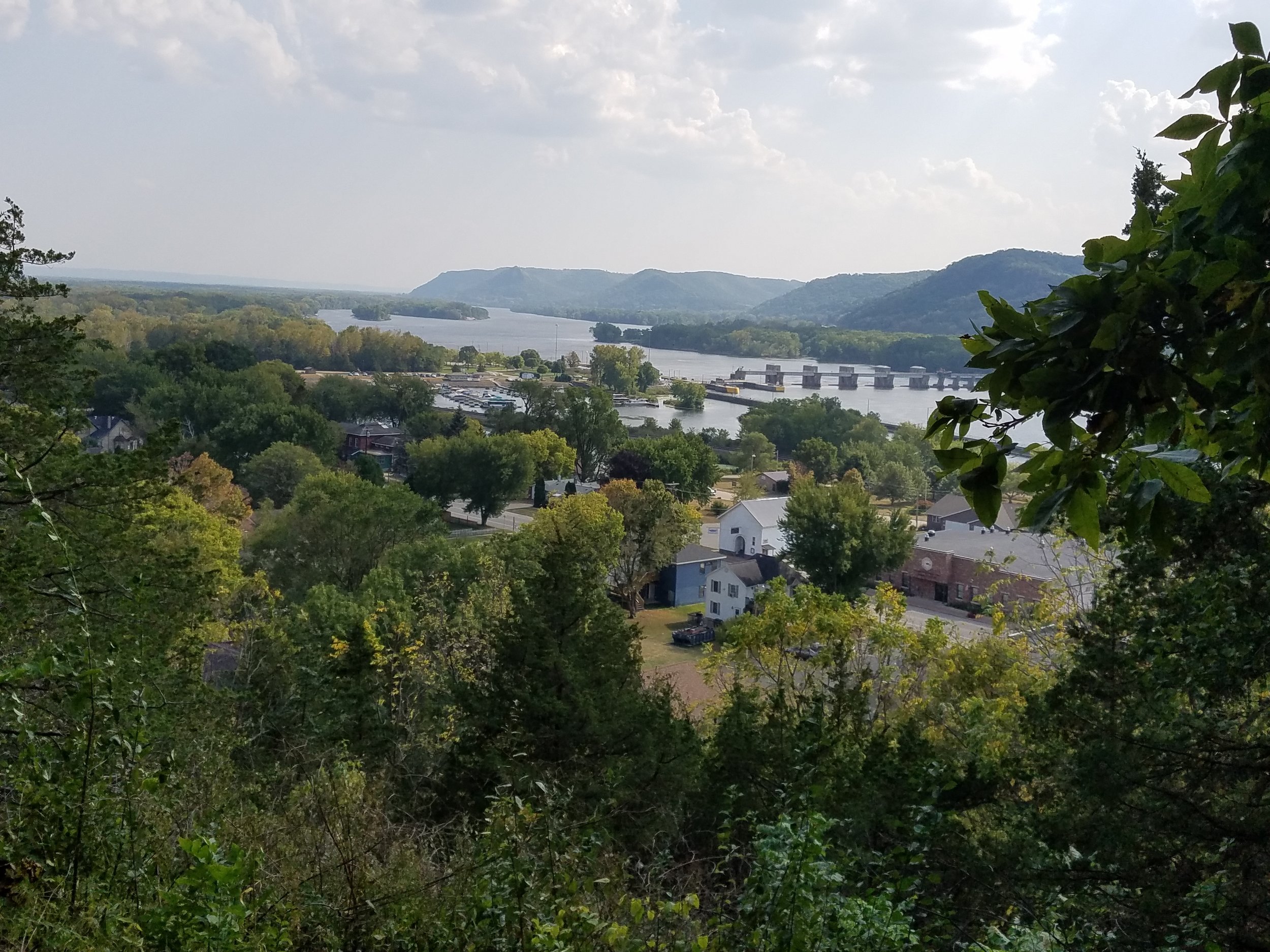 Mississippi River View from Little Bluff