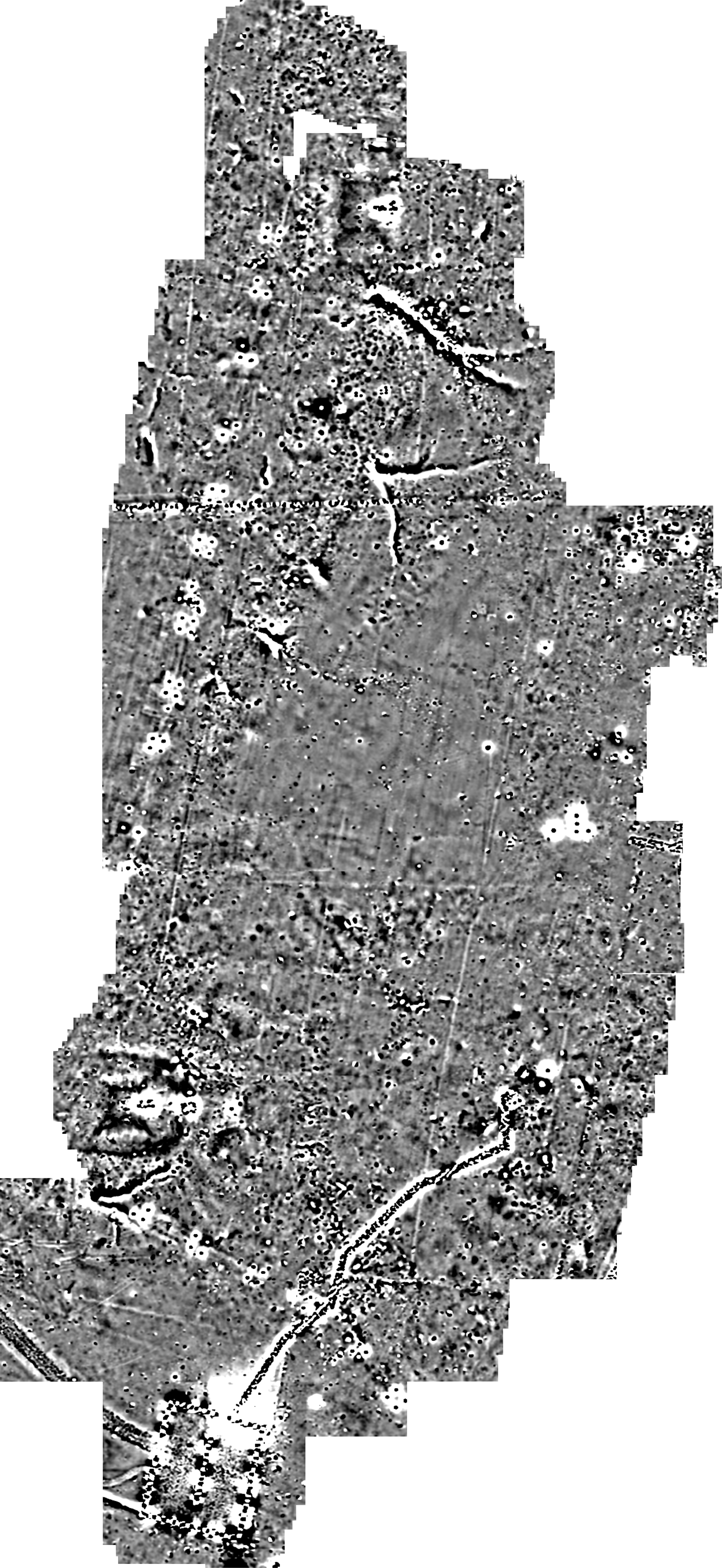 Figure 15. Moderate contrast (5/-5nT).