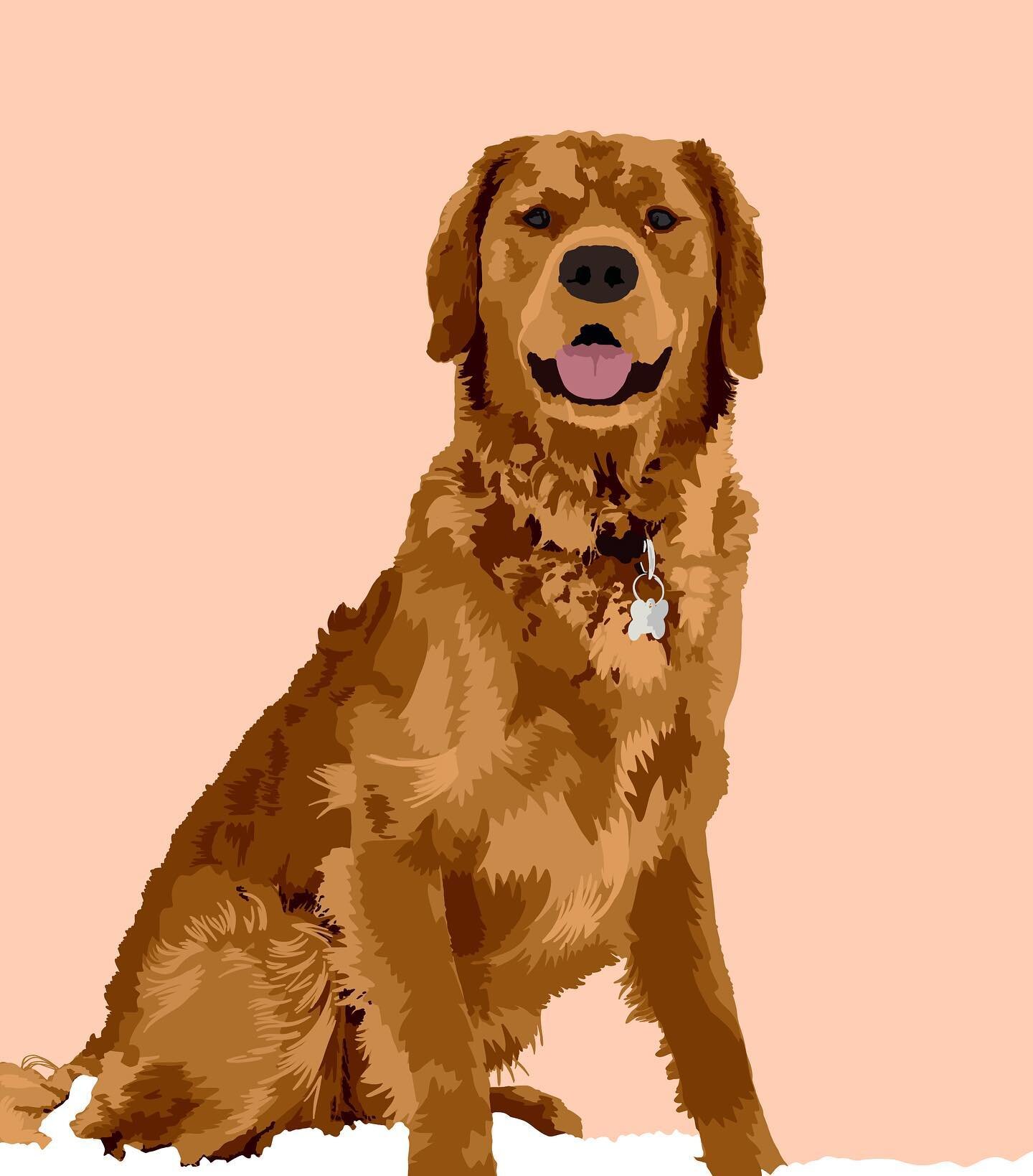 A recently finished pup illustration ✨ this one will be a housewarming gift for someone&rsquo;s brother-in-law (along with another illustration) - such a sweet idea!

Also - I don&rsquo;t know this buddy, but doesn&rsquo;t he look like a good boy?? S