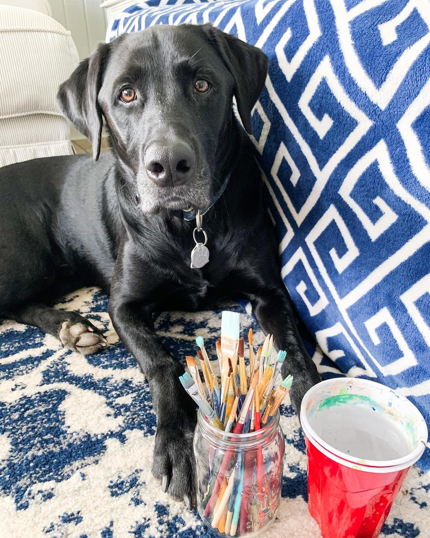 My favorite art buddy 🐾 he just snuggled up next to me as I wrote this 😭😍 and sometimes tries to sit on my arm while I&rsquo;m painting etc. he tried to literally sit on me the other night 🙈

In other news, I don&rsquo;t know about you but I&rsqu