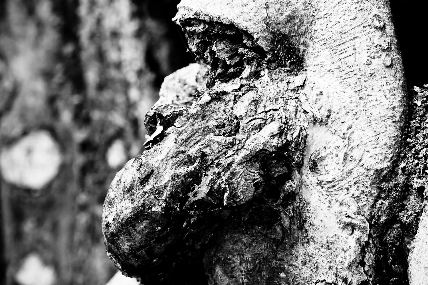 thought in trees