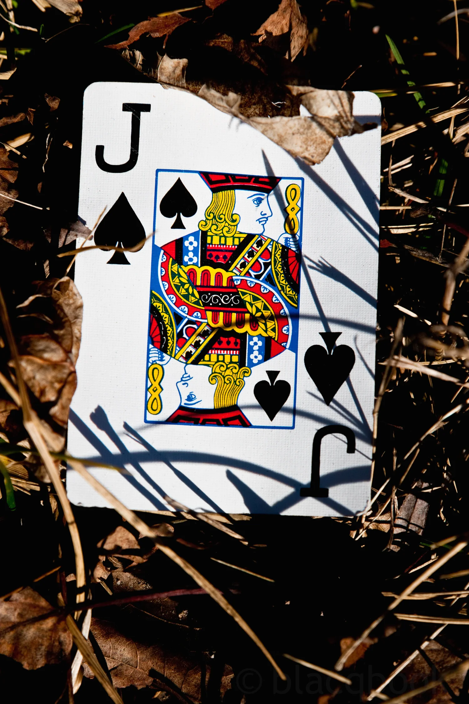 justice for jack of spades