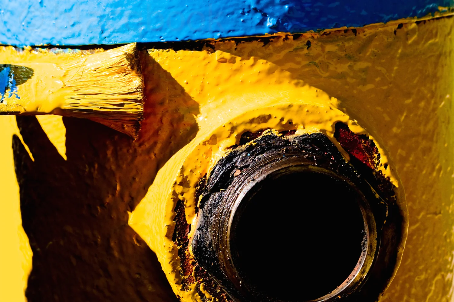 camera paint