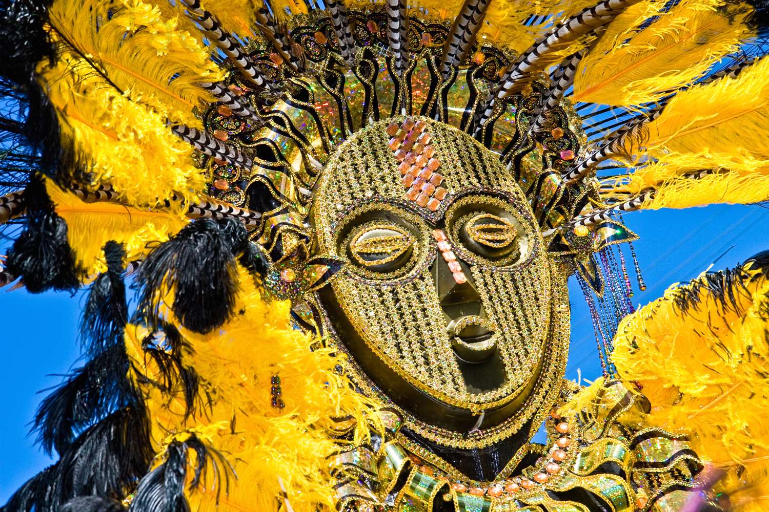 feathery mask