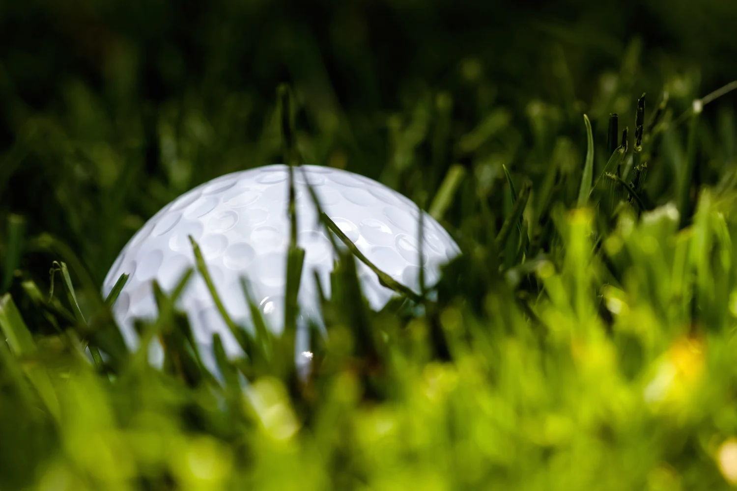 golf ball hiding