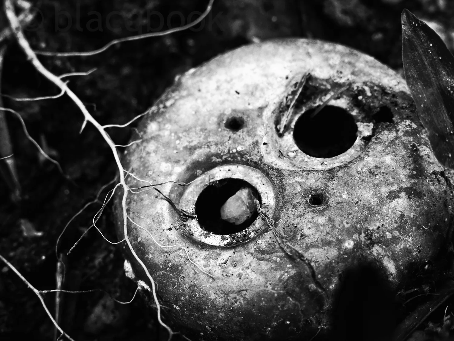 buried