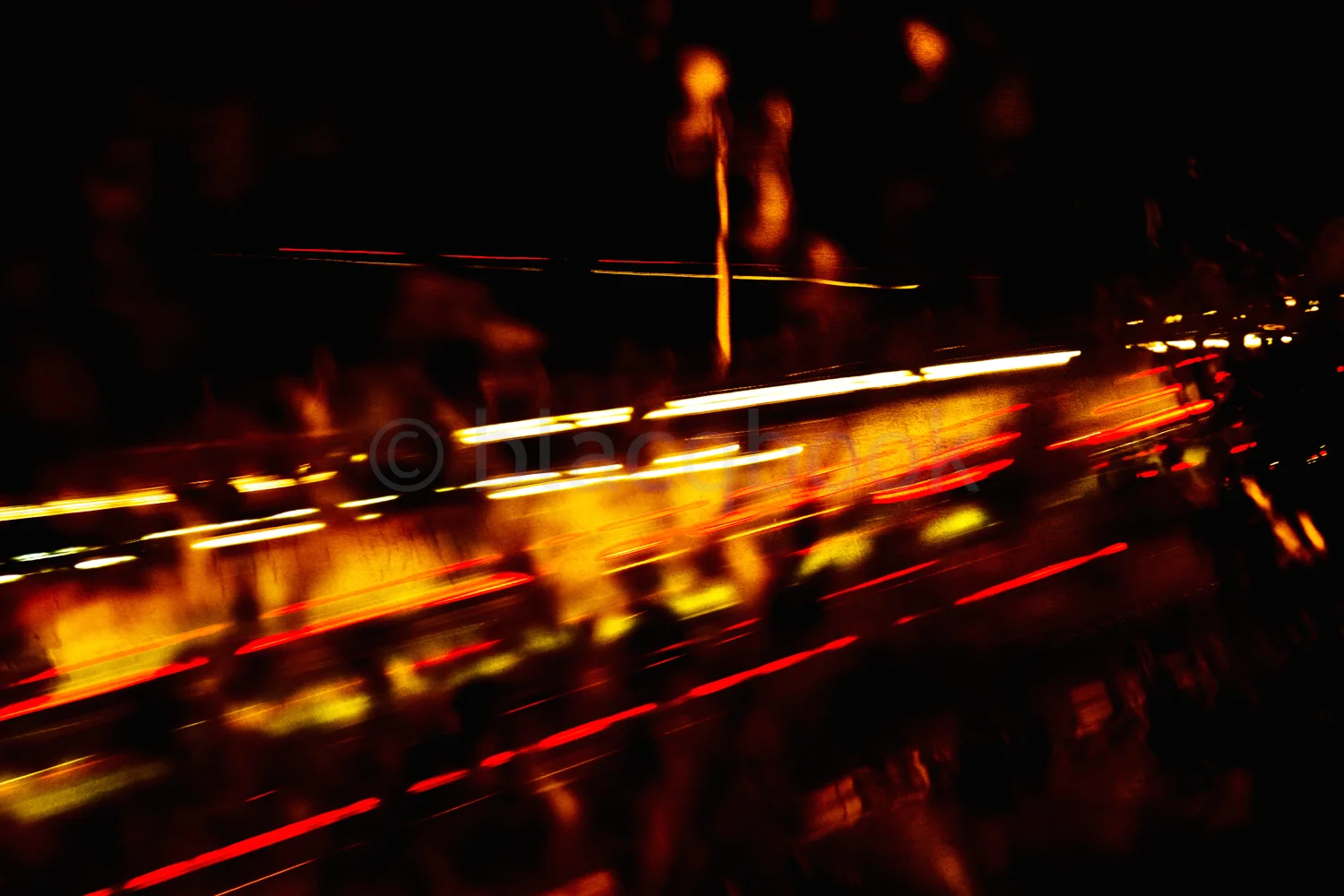 light travel and leaves