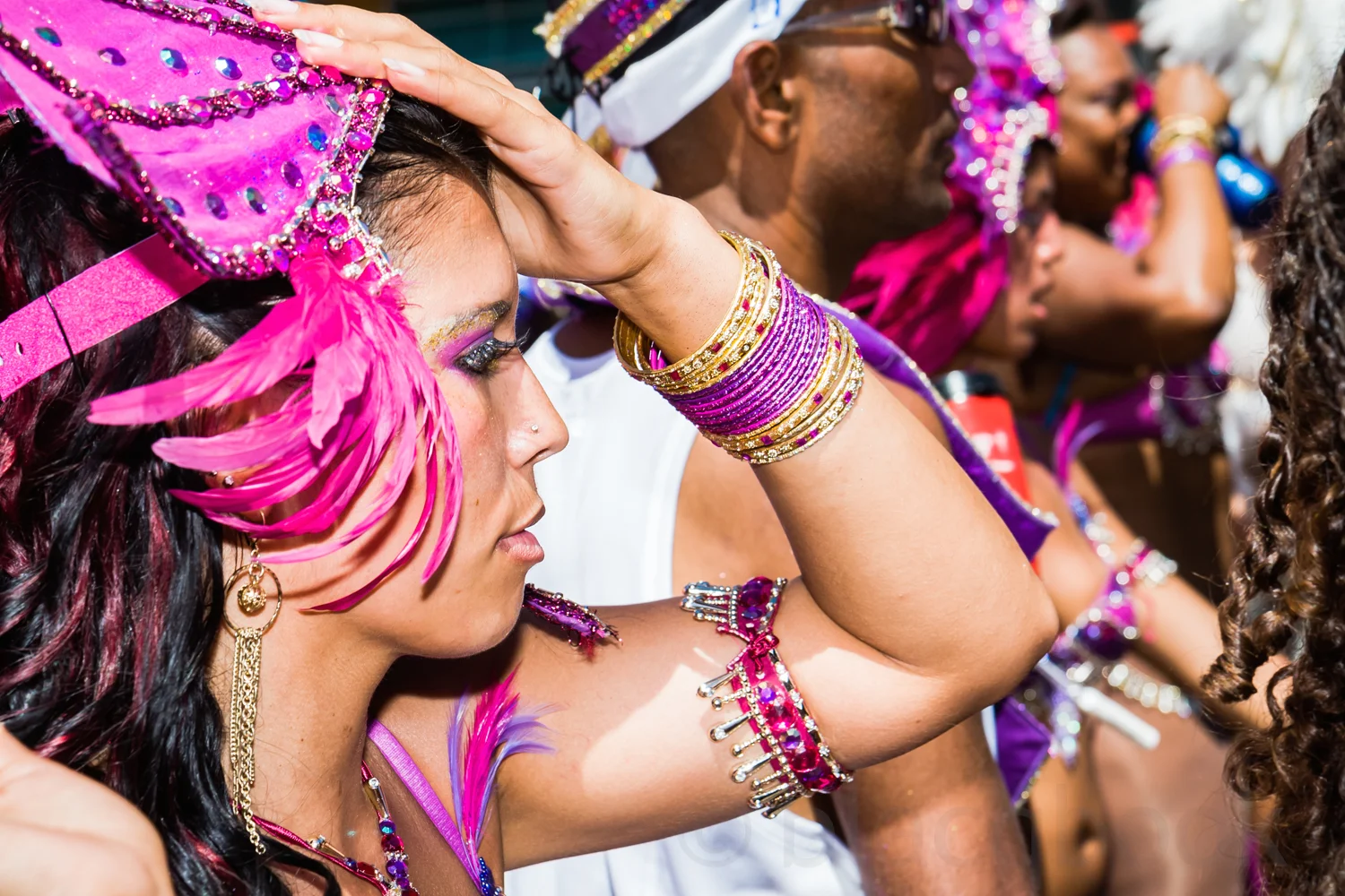 carnival flex
