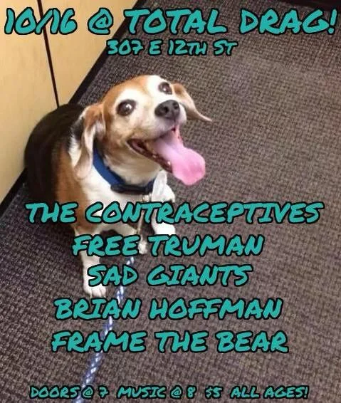 THE CONTRCEPTIVES - SAD GIANTS - BRIAN HOFFMAN - FRAME THE BEAR