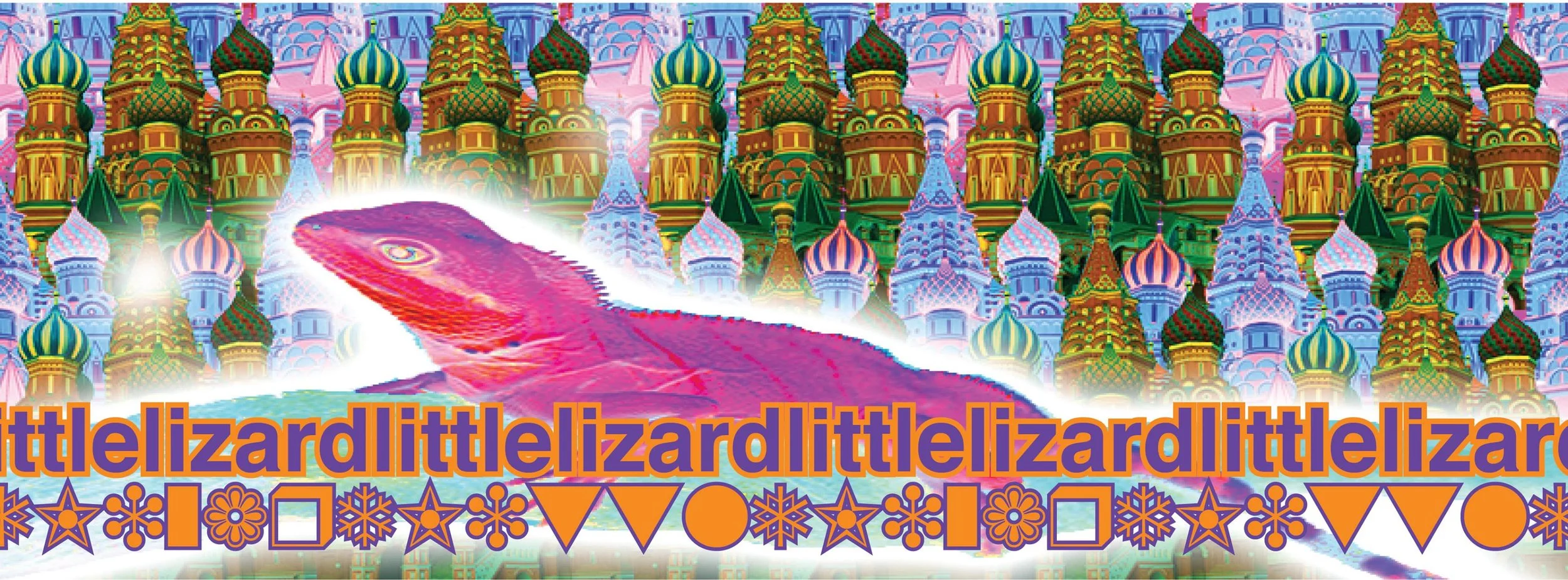 LITTLE LIZARD - SAUNA ACCIDENT - MINORITY FALLS