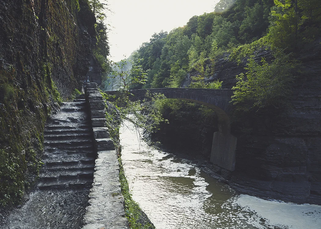 140814_Letchworth22web.jpg