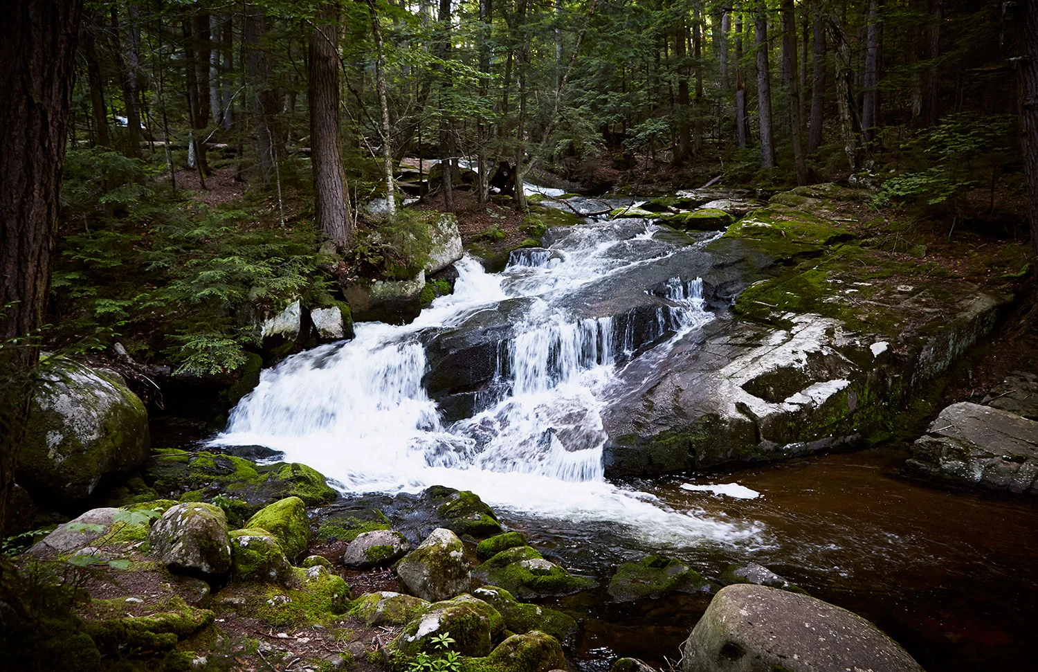 Adirondacks_By_BriJohnson_03.jpg