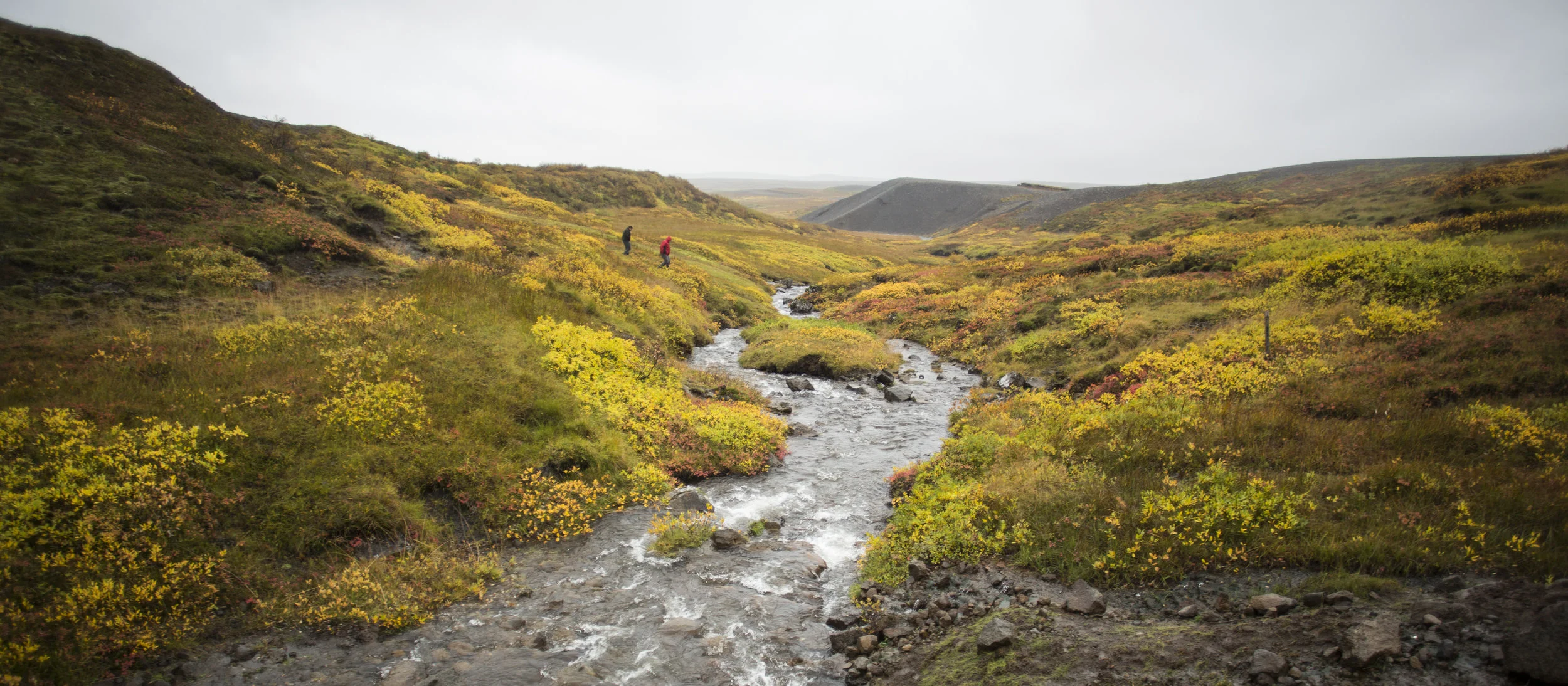 Landscape2.jpg
