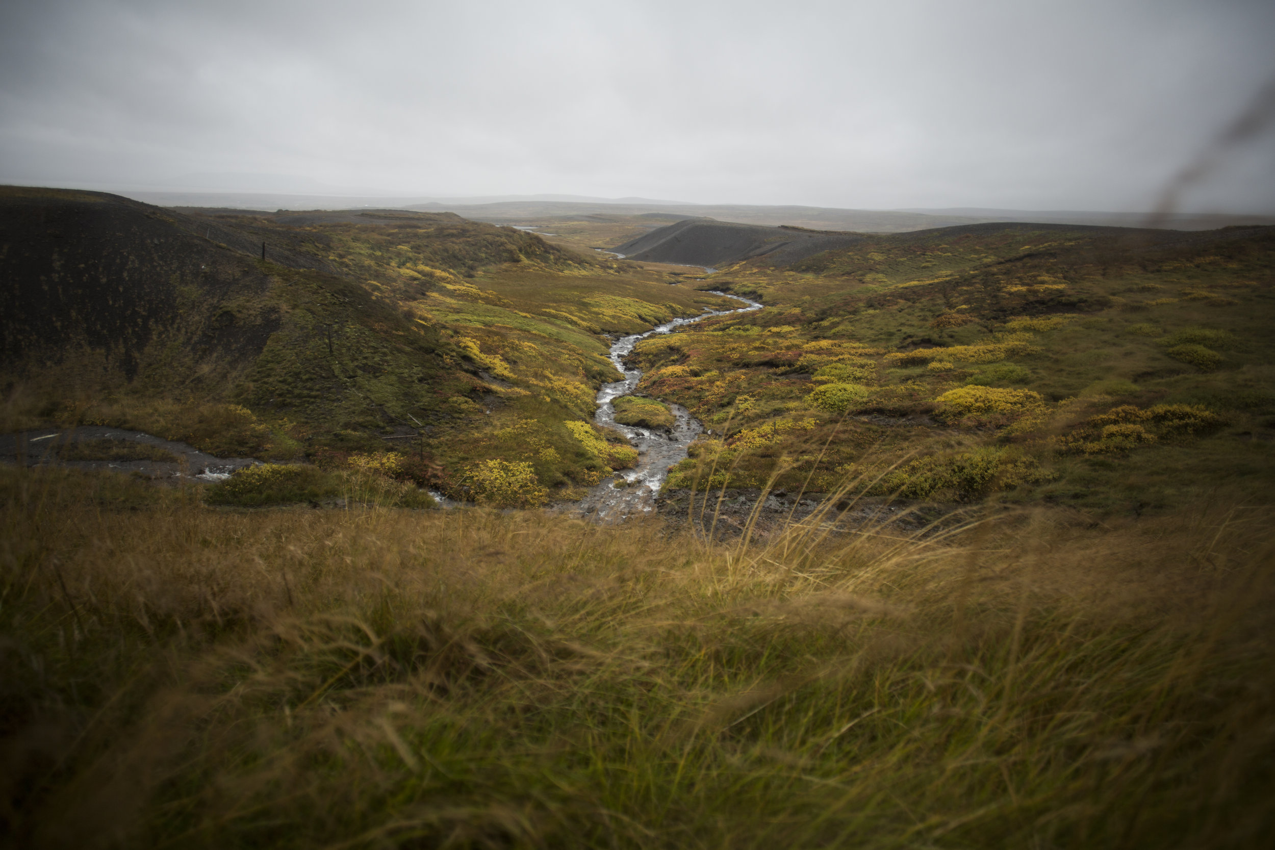 Landscape1.jpg