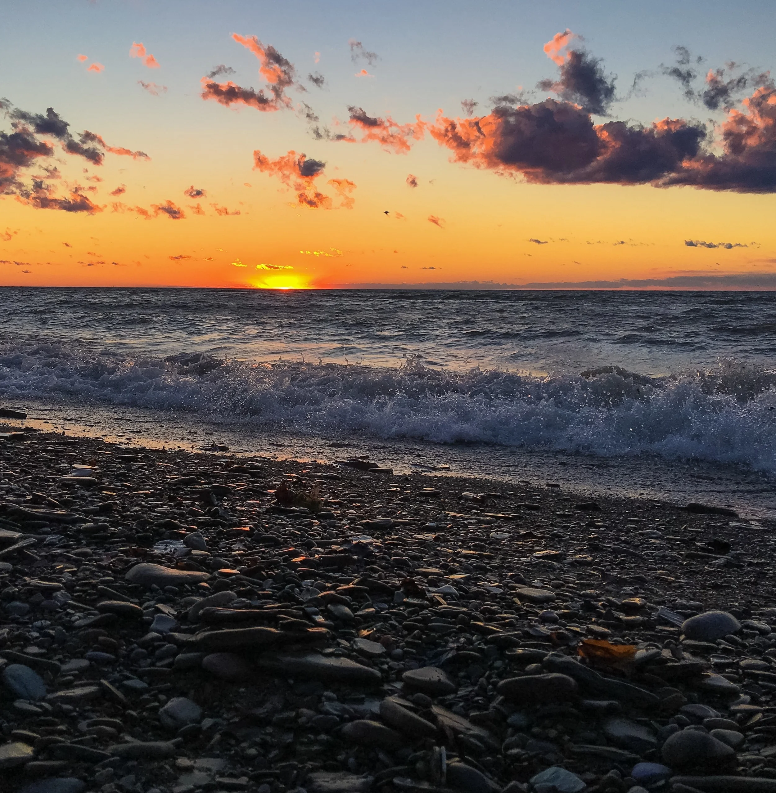 North Shore Arts Alliance Members' Show