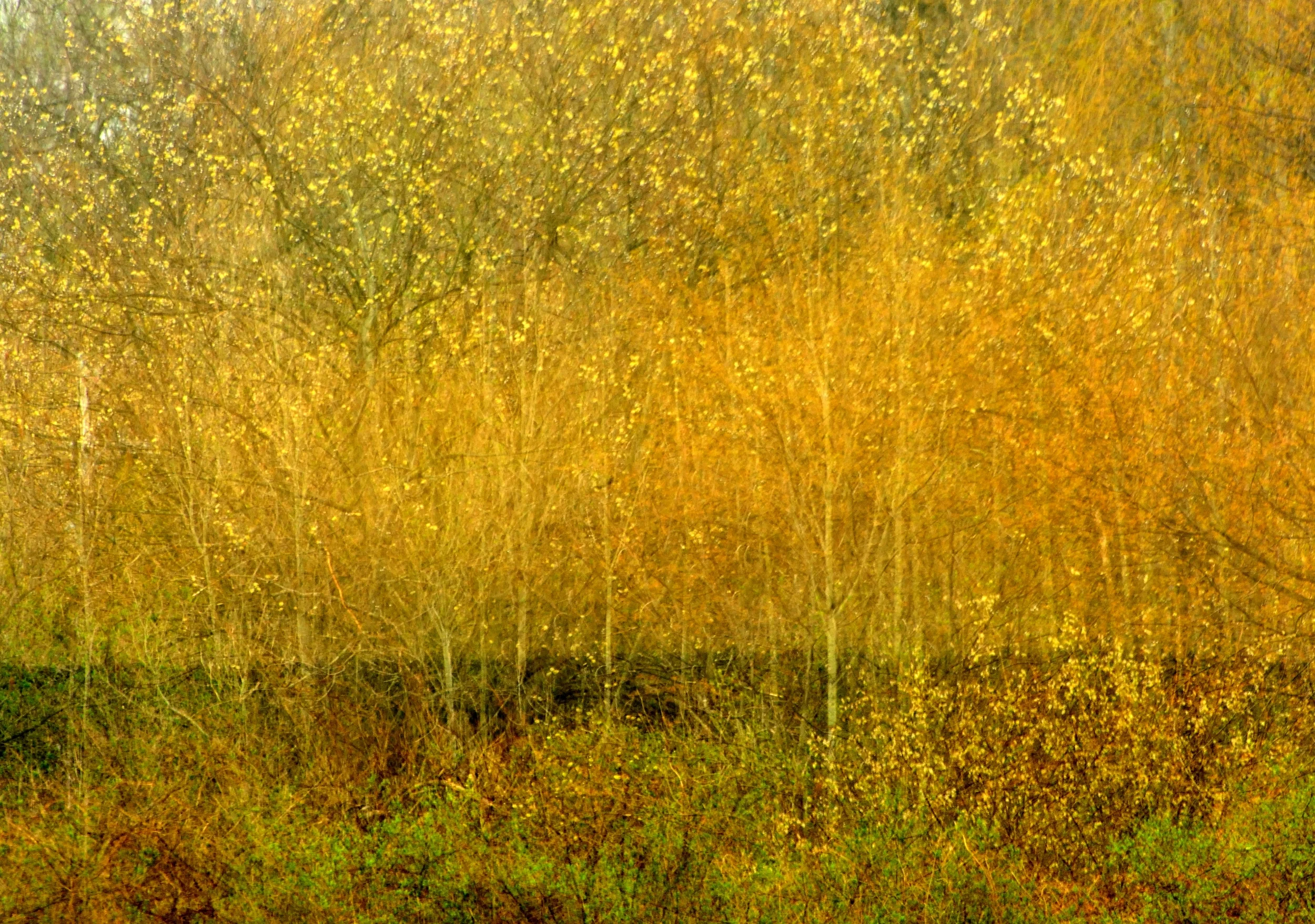 VACI Open Members Exhibition