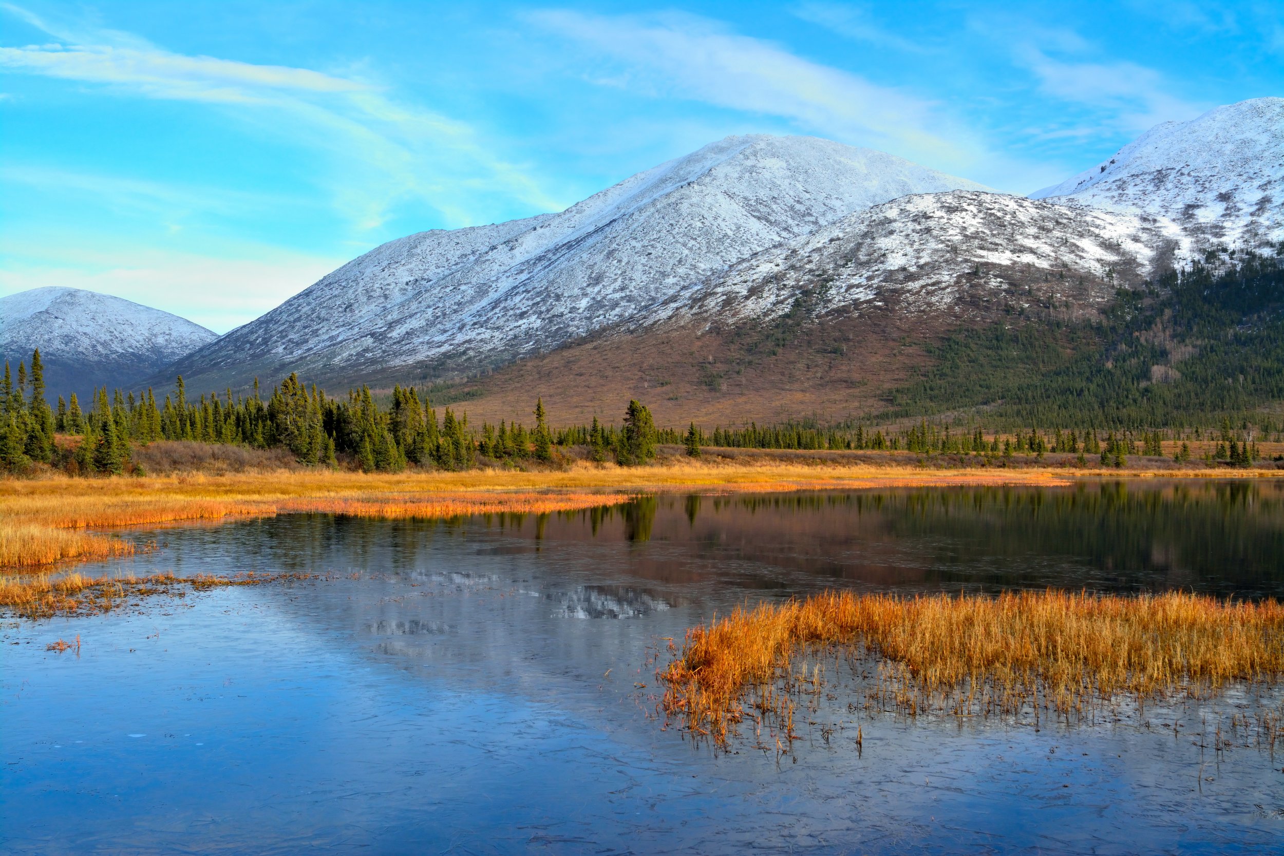  WW 5  Grayling Lake, AK