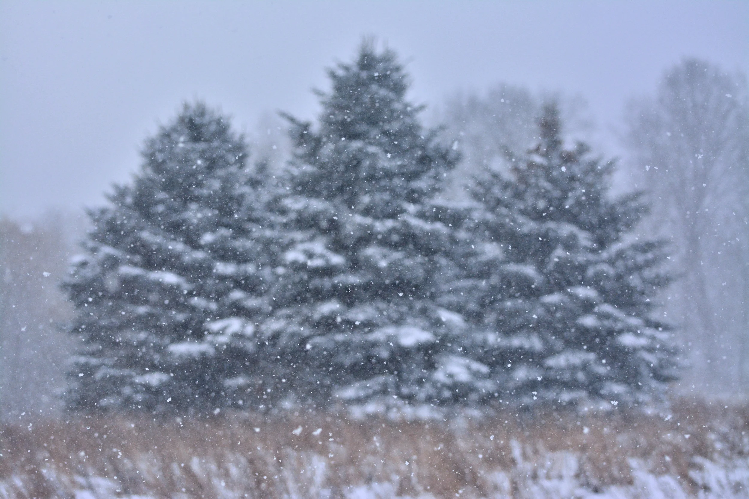 Along the Way: Photography by Cam Glosser and Karen Glosser 